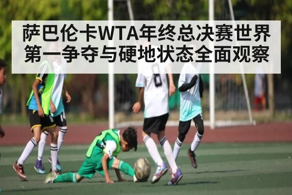 萨巴伦卡WTA年终总决赛世界第一争夺与硬地状态全面观察